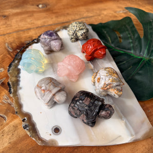 Turtle Carving | Medium