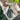 Moss Agate Generator Point