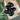 Rainbow Obsidian Palm Tumble | Medium