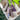 Chevron Amethyst Generator Point
