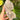 Moss Agate Tower Point | 01