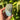 Labradorite Free Form | 09