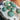 Amazonite Palm Tumble
