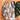Septarian "Dragon" Generator Point