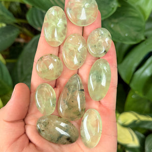 Prehnite Cabochon | Medium