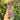 Fluorite Generator Point | 02