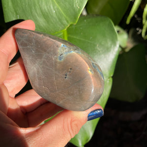 Labradorite Free Form | 01