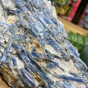 Blue Kyanite Rough | 1.18kg