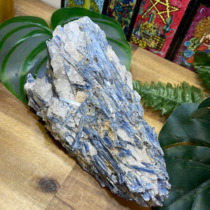 Blue Kyanite Rough | 1.18kg