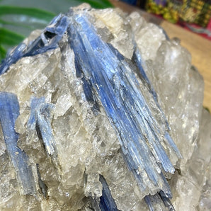 Blue Kyanite Rough | 1.96kg