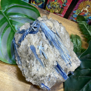 Blue Kyanite Rough | 1.96kg