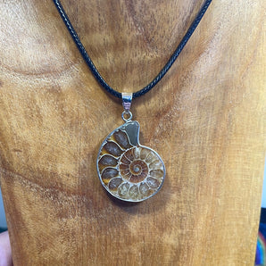 Ammonite Necklace