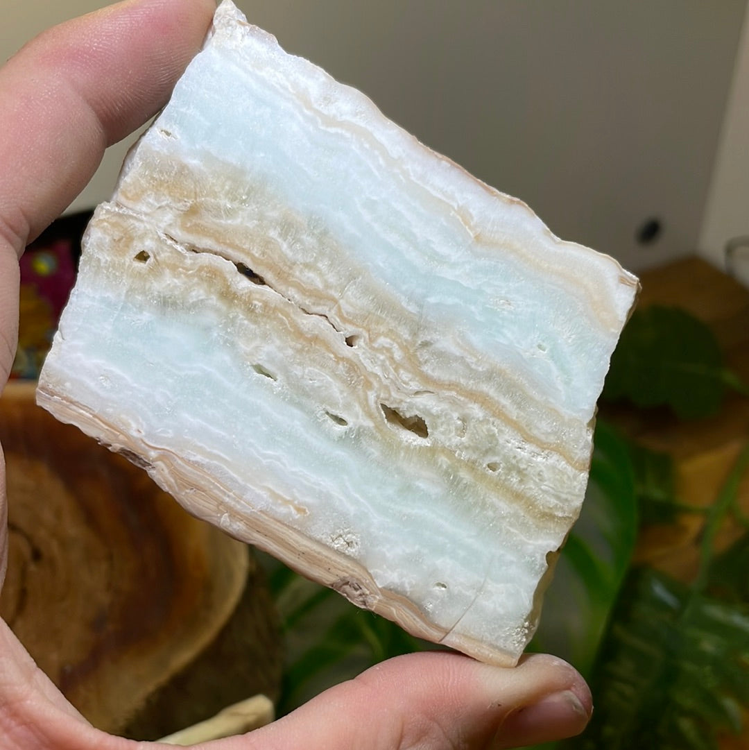 Caribbean Calcite Polished Slice