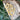 Ammonite (Limestone) | Small
