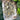 Dalmatian Jasper Tumble