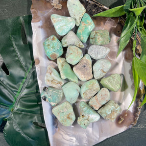 Chrysoprase Tumble