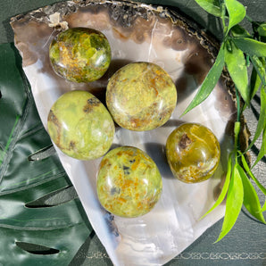 Green Opal Tumble | Palm Stone