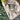 Green Tourmaline Generator Point