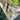 Garnierite Generator Point