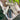Moss Agate Generator Point