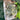 Prehnite & Epidote Tumble