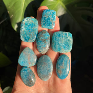 Blue Apatite Cabochon
