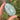 Amazonite Palm Tumble | 01