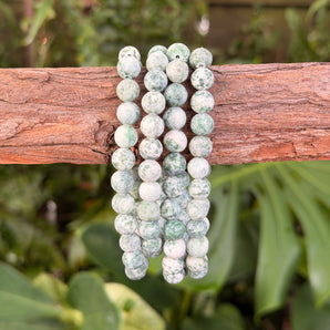 Tree Agate Bead Bracelet