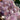 Amethyst Tumble | Large