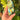 Labradorite Free Form | 06