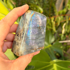 Labradorite Free Form | 08