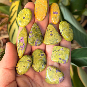 Atlantisite Cabochon | Medium