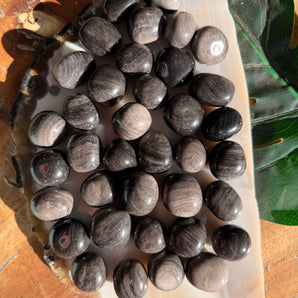 Silver Sheen Obsidian Tumble