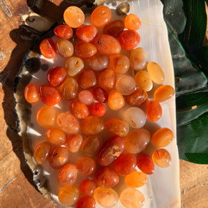Carnelian Tumble