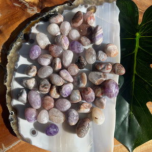 Amethyst & Agate Tumble | Mini