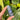Lapis Lazuli Generator Point | 03