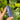 Lapis Lazuli Generator Point | 04