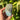 Labradorite Free Form | 09