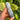 Sodalite Generator Point | 01