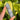 Sodalite Generator Point | 01