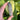 Labradorite Generator Point | 01