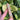 Rainforest Jasper Generator Point | 01