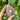 Amethyst & Agate Free Form | 01