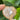Peach Moonstone Heart | 06