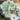 Pistachio Calcite Rough | Small