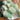 Pistachio Calcite Rough | Large