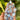 Rainbow Moonstone Cabochon | Medium