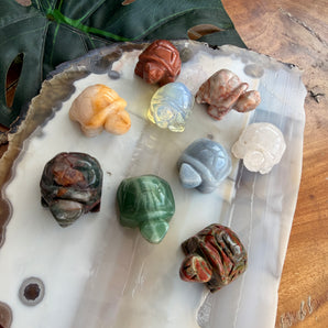 Turtle Carving | Small