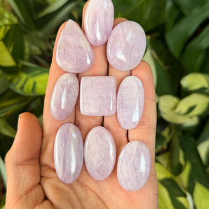 Kunzite Cabochon | Medium