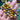 Mookaite Bead Bracelet